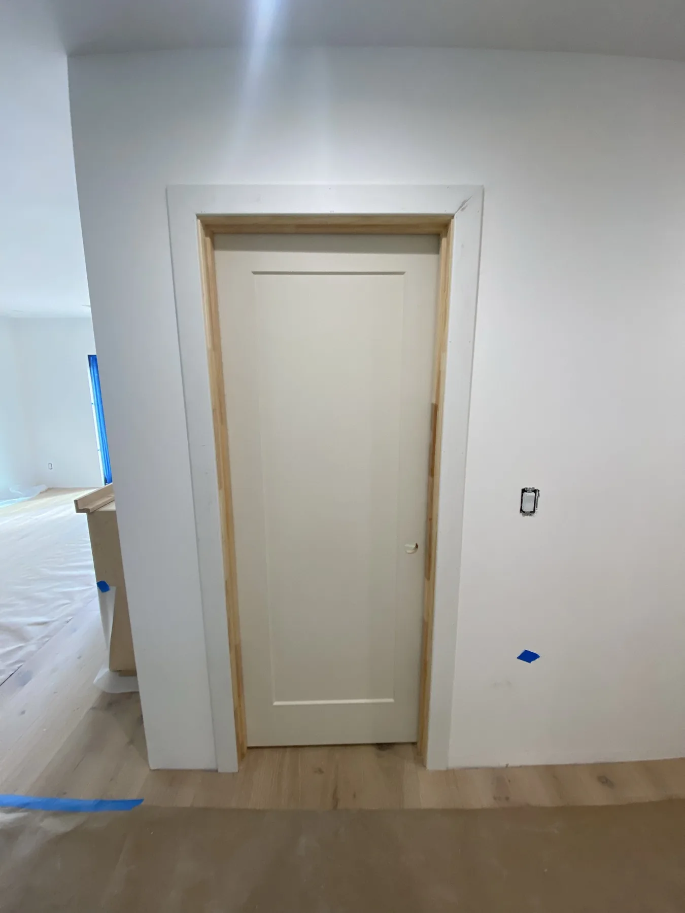 Unpainted single-panel door and jamb at E Calle Ventura
